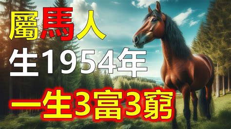 屬馬男性格|【屬馬人】生肖屬馬人的一生運勢分析：性格、愛情、事業、財運。